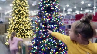 life as we Gomez Christmas shopping vlog!