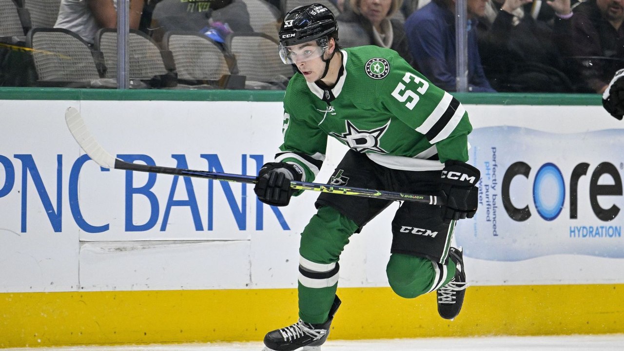 Stanley Cup Playoffs: Eastern & Western Finals Analysis