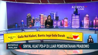 Sinyal Kuat Arah PDIP di Luar Pemerintahan Prabowo-Gibran  ULASAN ISTANA