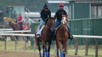 Belmont Stakes 2024: Tech & VIP Trends in Horse Betting