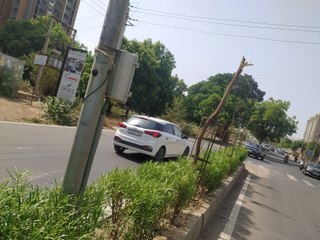 होर्डिंग लगाने के लिए काटे पेड़, दो कंपनियों पर 50-50 लाख का जुर्माना