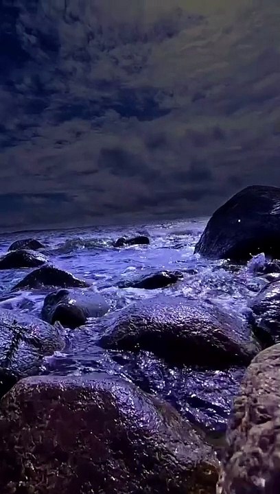 The peace
