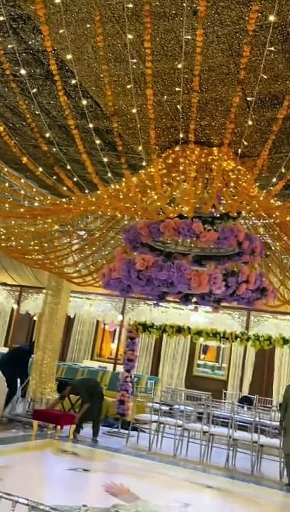 banquets promo video and solo background video.