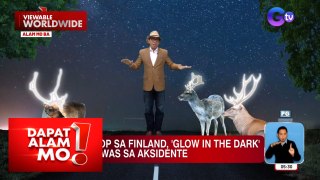 Mga hayop sa Finland, glow in the dark para makaiwas sa aksidente?! | Dapat Alam Mo!