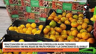 Reactivación de la cooperativa citrícola en Alem “estamos procesando 100 mil kilos de fruta por día y la capacidad es el doble”