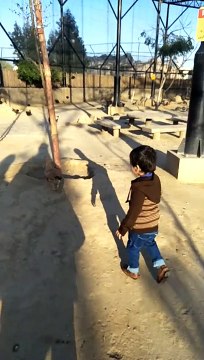 running chicken #shorts #viral #trending #foryou #tiktok #delicious #gaming #reels#dailymotion #France #Pakistan #Algeria #India #USA #Iran #entertainment #tour #fun