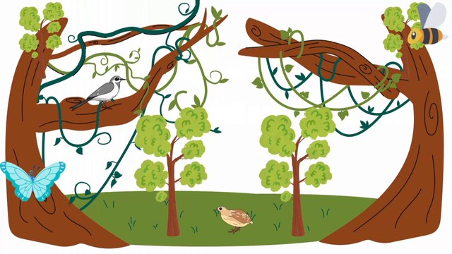 Animation cartoon|New animation cartoon|cartoon for kids|@2024