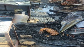 चाय की थड़ी पर घरेलू गैस सिलेंडर फटने से 7 साल का मासूम जिंदा जला