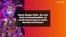 Mask Singer 2024 : Sa voix était reconnaissable, on avait trouvé qui se cache derrière le Flocon !