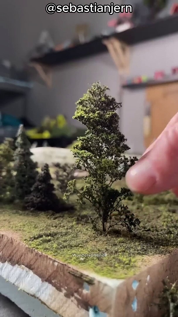 Funny & Entertainment Videos