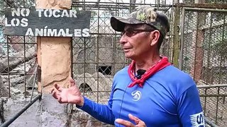 Hambruna y abandono en el antiguo zoológico de los narcos en Honduras