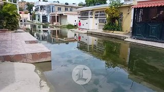 Calle se convierte en criadero de peces por la cantidad de aguas estancadas