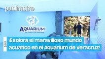 ¡Así es el AQUARIUM de VERACRUZ tras su remodelación!