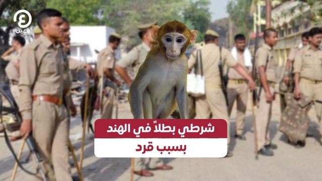 شرطي بطلاً في الهند بسبب قرد
