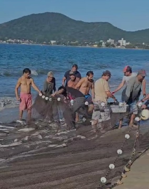 Pescadores artesanais celebram lanço de tainha em Armação do Itapocoróy