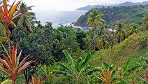 The Caribbean's 'Nature Island' Has Rain Forests, Luxury Hotels, and a Rich Creole Culture
