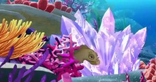 H2O Mermaid Adventures H2O Mermaid Adventures E008 Dolphin City Triangle