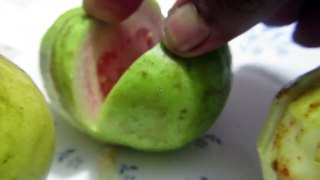 HOW TO DIFFERENTIATE BETWEEN WHITE GUAVA AND RED GUAVA AND TASTE TEST