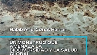 |HABIB ARIEL CORIAT HARRAR | EL CAMBIO CLIMÁTICO, LAS OLAS DE CALOR Y LAS SEQUÍAS (PARTE 1) (@HABIBARIELC)