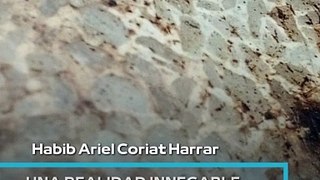 |HABIB ARIEL CORIAT HARRAR | LA CIENCIA COMO CLAVE PARA UN FUTURO SOSTENIBLE (PARTE 2) (@HABIBARIELC)