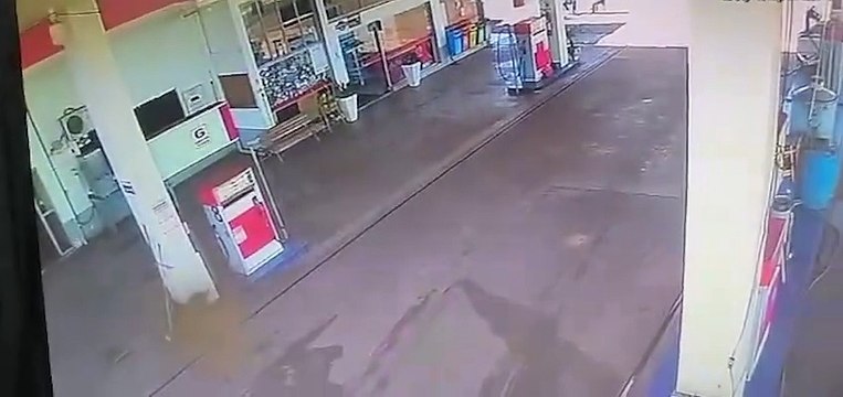 Polícia Militar prende dois bandidos argentinos em Marmeleiro e busca outros dois na mata