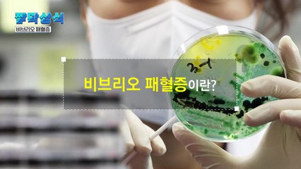 [짤막상식] '비브리오 패혈증' 이란? / YTN
