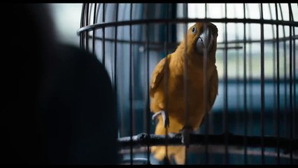 Les Guetteurs Bande-annonce (FR)