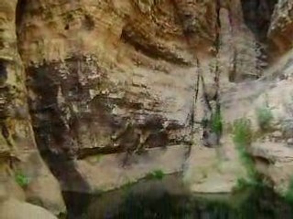 MOV00505