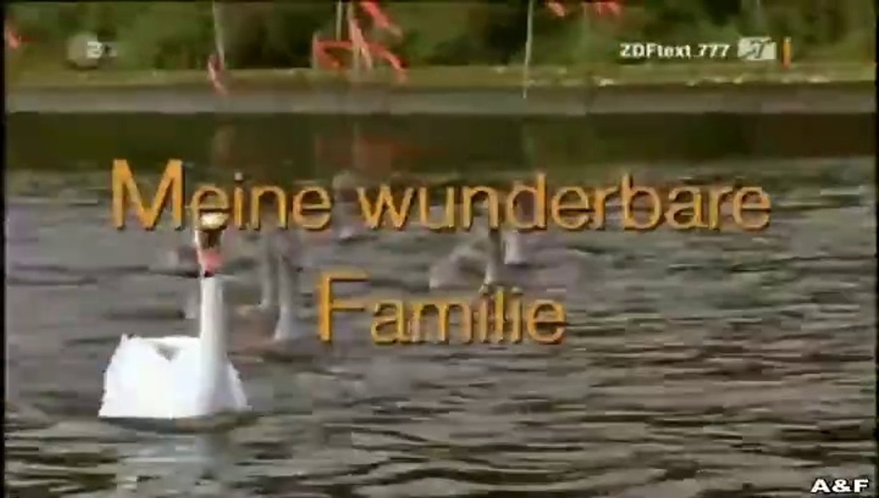 Meine wunderbare Familie - Die zweite Chance