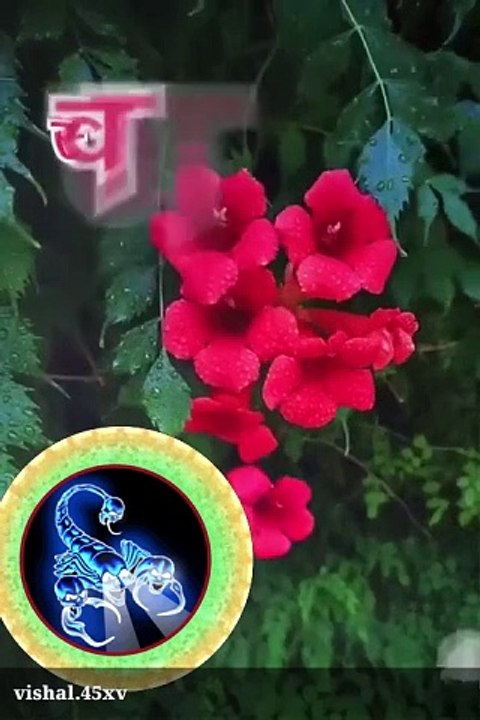 1000037804