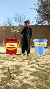 Halal v Haram Islamic video,