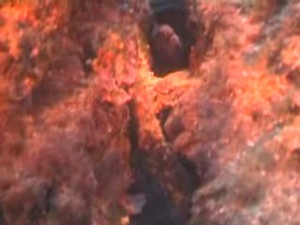 La gabinière
