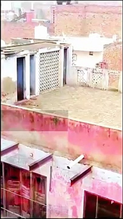 Lion attack in village