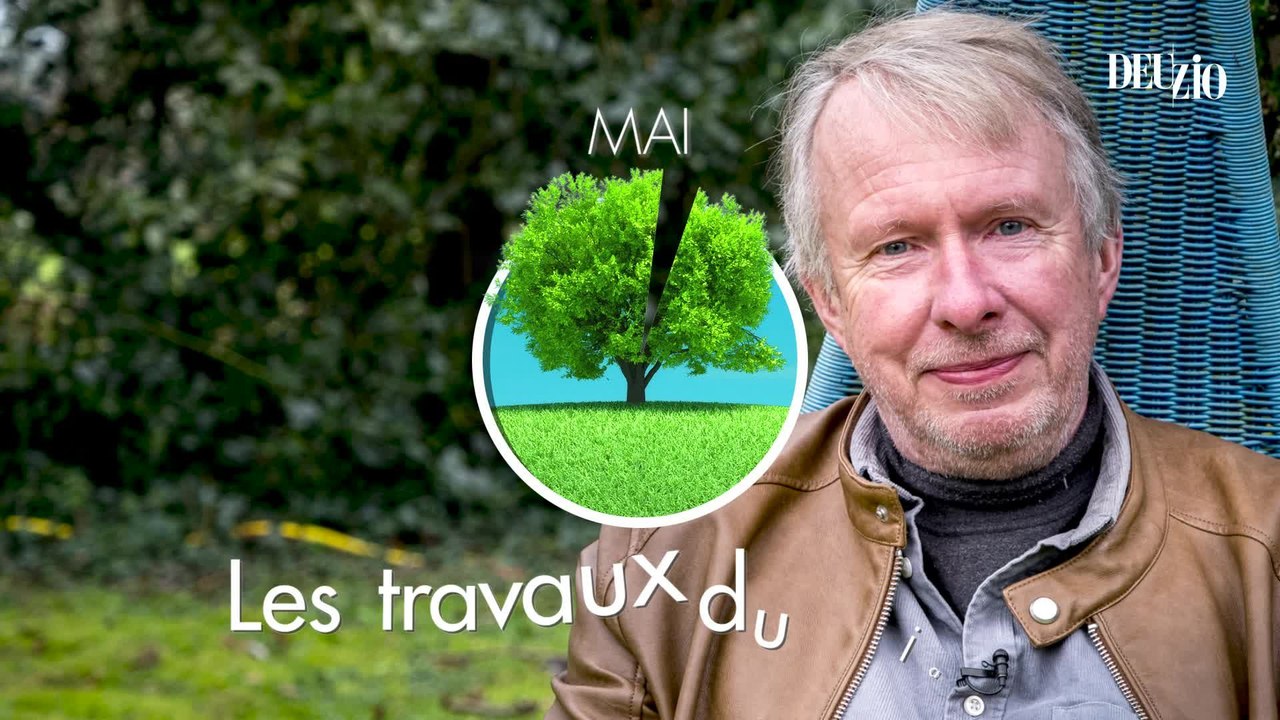 Travaux du jardin - 1er juin 2024 - Le réséda