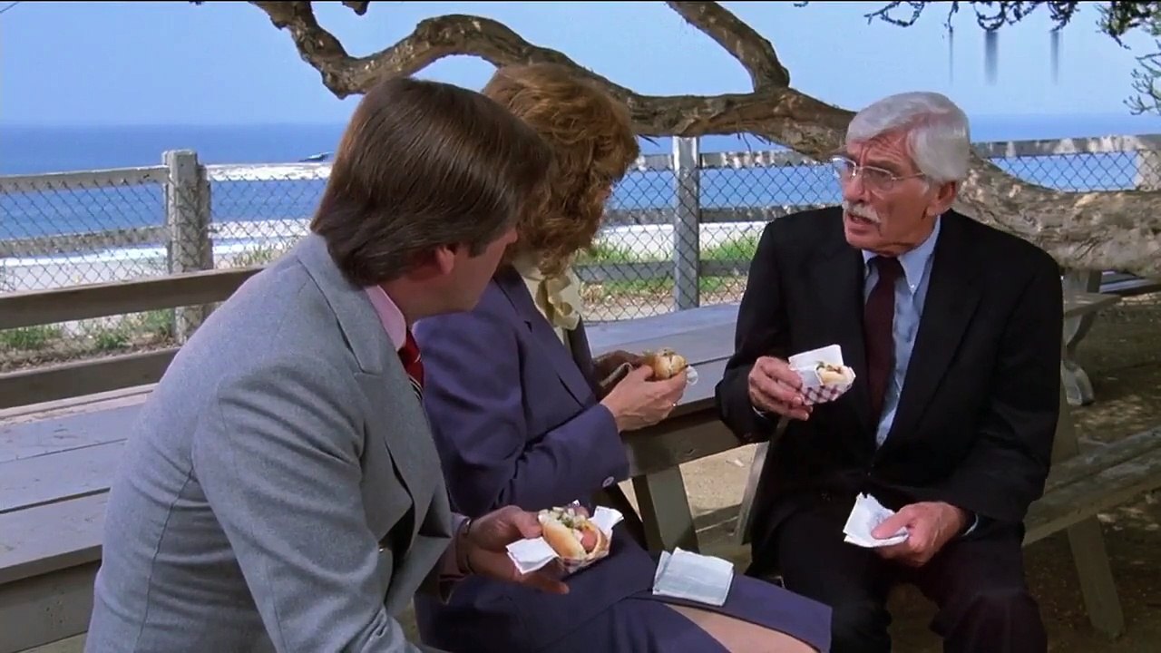 Hart aber herzlich S02E20-Das grüne Zimmer