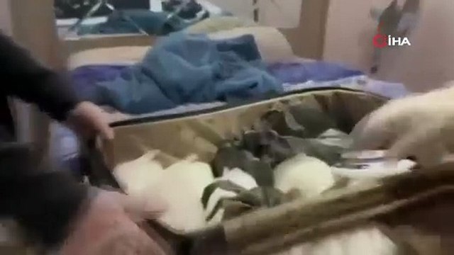 “Narkoçelik-19” operasyonunda 480 kilogram uyuşturucu madde ve 71 bin adet uyuşturucu hap ele geçirildi: 8 şüpheli yakalandı