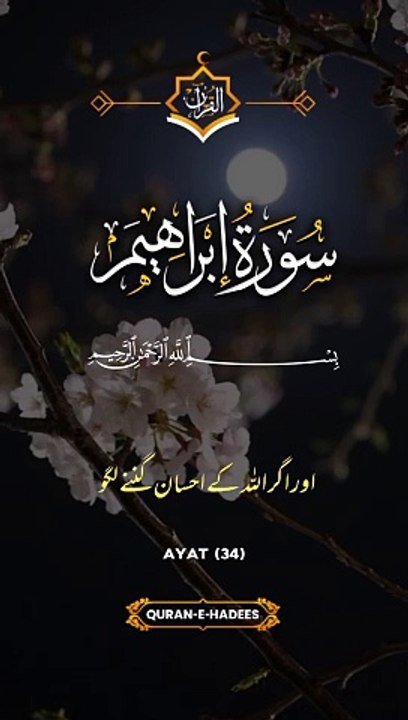 Islamic video # Quran