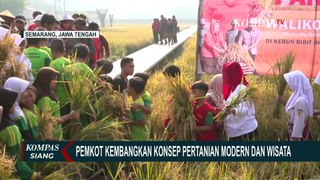 Usaha Pemkot Semarang Kembangkan Konsep Pertanian Modern dan Wisata