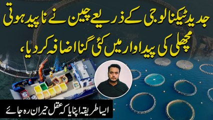 Jadeed Technology k zariye China ne naapeid hoti machli ki pedawar mein kai gunah izafa kar dia, aisa tareeqa apnaya k aqal heran reh jaye