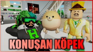 KONUŞAN KÖPEK İLE ZENGİNE KARŞI | ROBLOX BROOKHAVEN HİKAYE | HAN KANAL GİTARİSTV