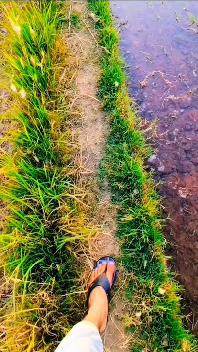 Morning routine with birds ❣️