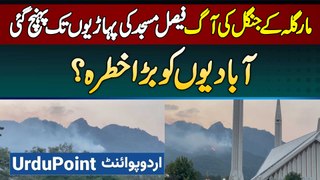 Margalla Hills Me Phir Aag Bharak Uthi - Faisal Mosque Tak Pahunch Gai - Margalla Hills Fire Update