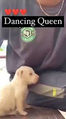 short_video_#youtube#dance#viral#song(360p)