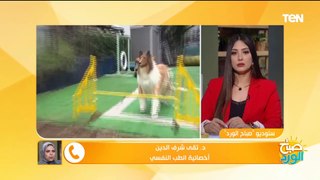 بلوجر ياباني: مللت من كوني 