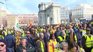 El sector tomatero extremeño denuncia la entrada del tomate de Marruecos en Europa