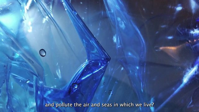 Diritti degli animali, il video degli studenti fiorentini