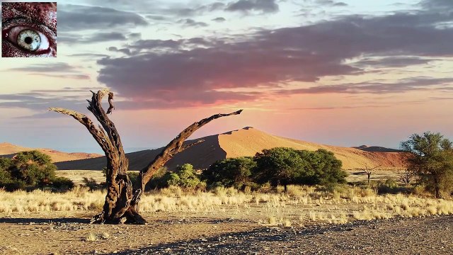 Sahra Ka Khofnak Safar I Sahra Ka Bhoot I Bhoot Ka Sahara I Asaibi Kahaniyan
