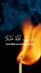 Islamic video #qurantilawat #QuranSurah