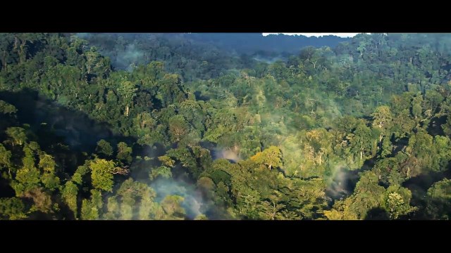 Tarzan (2025) - First Trailer _ Dwayne Johnson, Megan Fox