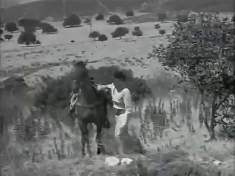 La Historia de Martha Barham  (Caravana) /Series y Películas del Oeste/ Cine Western